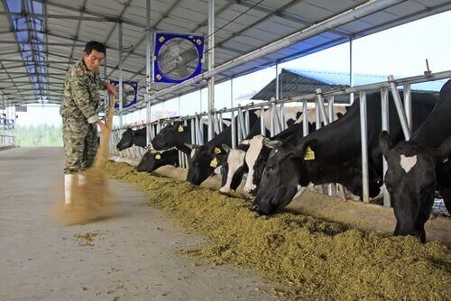 Hygiene und Gesundheit auf dem Bauernhof