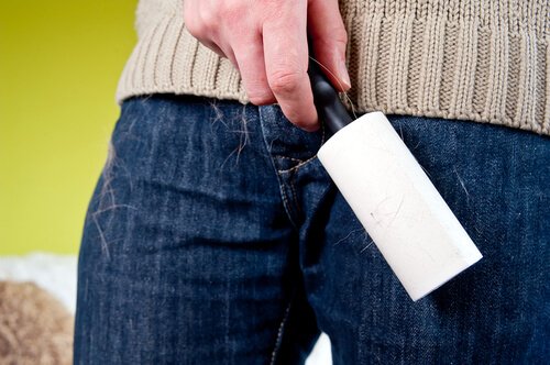 Kleberoller um Hundehaare an Kleidung zu entfernen