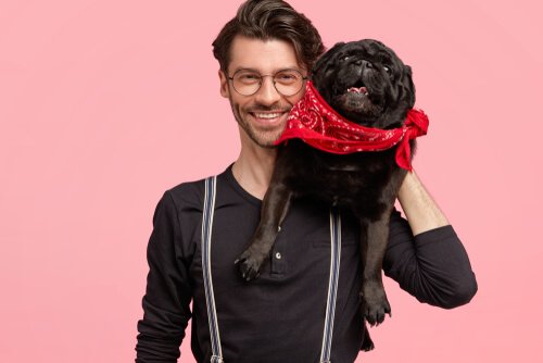 Sehen sich Hunde und Besitzer ähnlich? - Deine Tiere