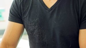 Tipps zur Entfernung von Hundehaaren