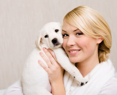 Warum sehen sich Hunde und Besitzer ähnlich?
