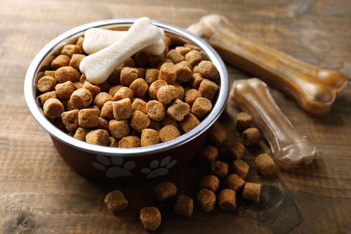 Kohlenhydrate in Trockenfutter für Hunde und Katzen