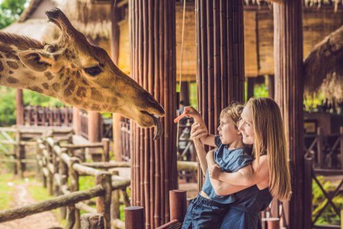 Zootiere bitte nicht füttern