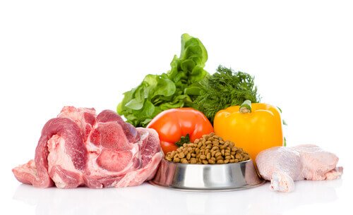 Biofutter für Haustiere?