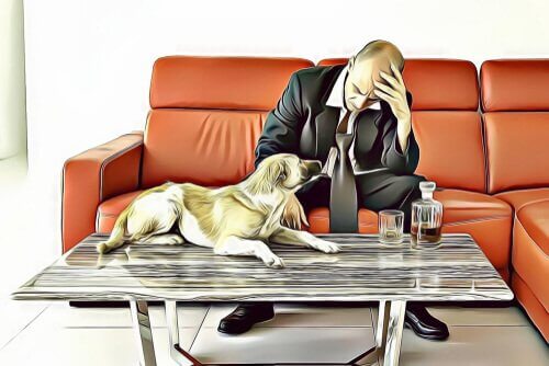 Geteiltes Sorgerecht für das Haustier