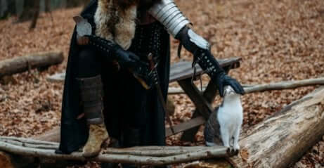 Die Katze im Mittelalter