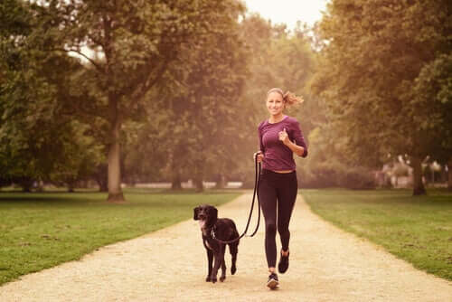Bewegung mit dem Hund ist gesund