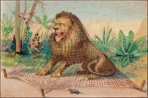 Der Löwe sitzt im Netz gefangen