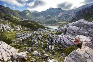 Wo kann man in Spanien Wildtiere beobachten?