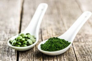 Chlorella für Hunde: 3 hauptsächliche Nutzen