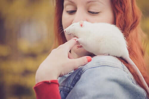 Frau trägt eine Ratte auf ihrer Schulter