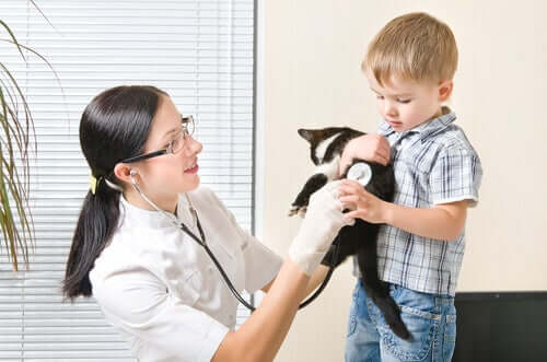 Kind und Katze beim Tierarzt