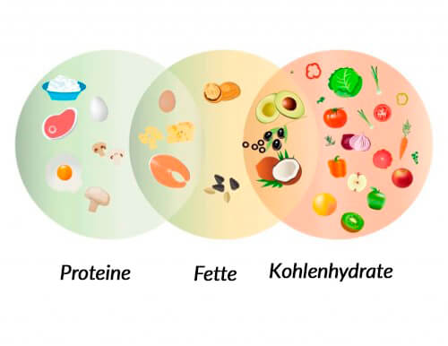 Künstliche Vitamine und Mineralstoffe bei der Hundeernährung