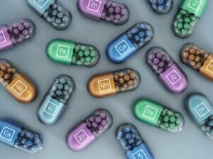 Künstliche Vitamine und Mineralstoffe bei der Hundeernährung