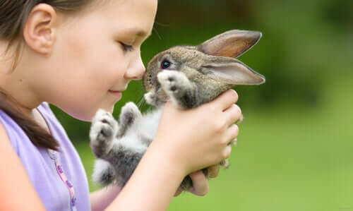 Welche Kaninchenrassen sind die besten Haustiere?