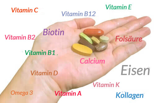 Künstliche Vitamine und Mineralstoffe bei der Hundeernährung