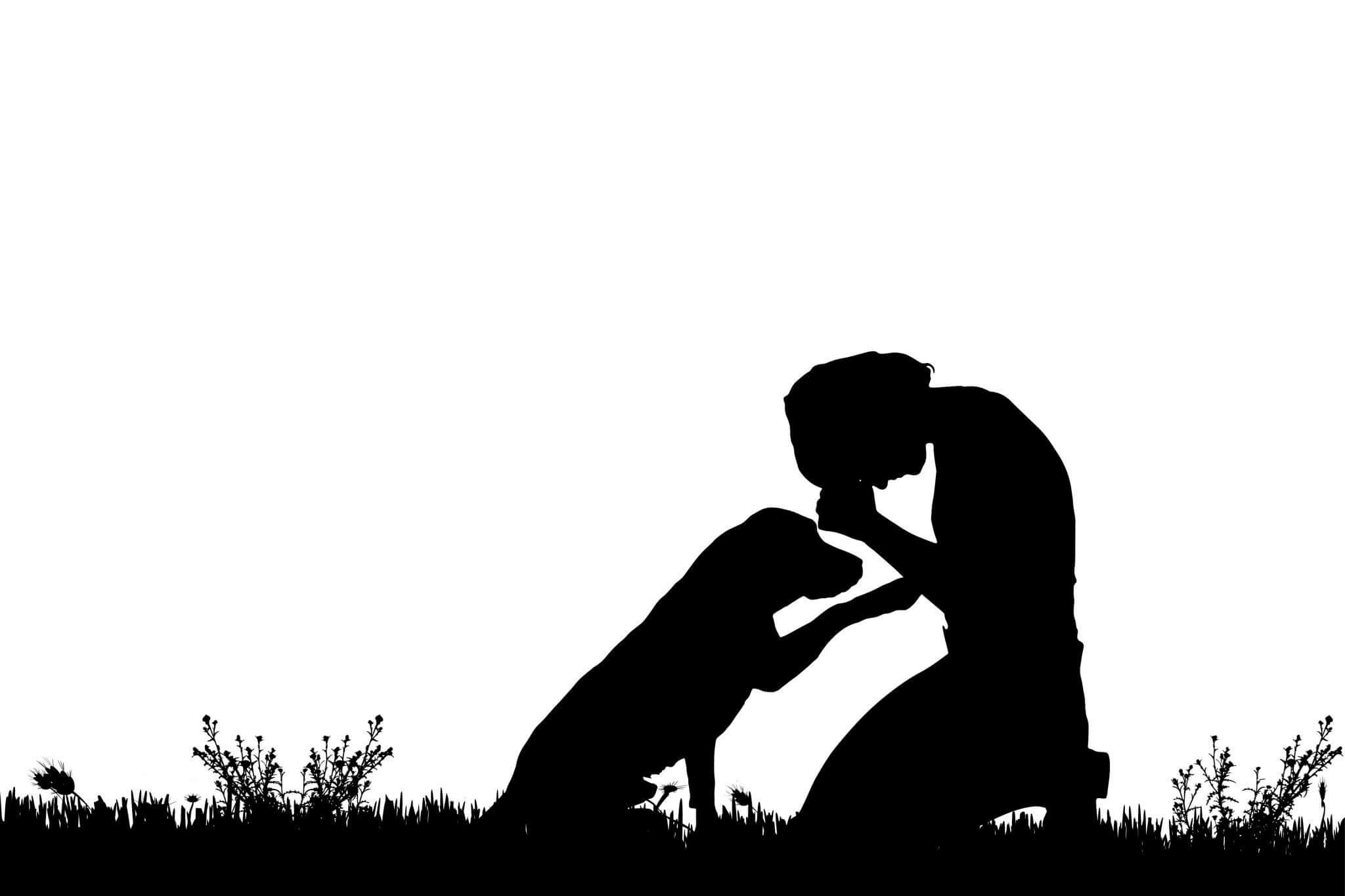 Hund tröstet ein Mädchen im Bild