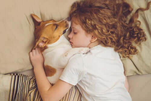 Jack Russell und Mädchen