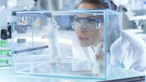 Verhaltensbiologie im Labor