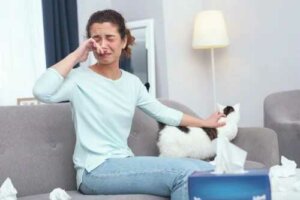 12 Tipps für Personen, die allergisch gegen Katzen sind
