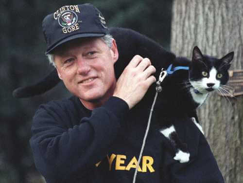 Bill Clinton und seine Katze Socks