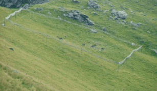 Einzäunung für den Fang von Wildtieren