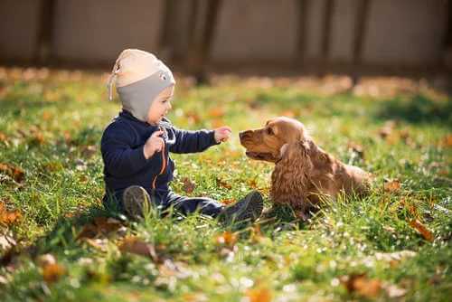 One Health für Kind und Hund