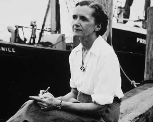 Rachel Carson: Eine Inspiration für Greta Thunberg?