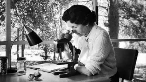 Rachel Carson