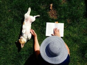 So kam der Mensch auf den Hund: ein Werk von Konrad Lorenz