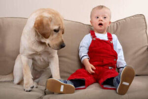 Down-Syndrom - Junge mit Hund auf Sofa