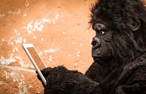 Affe und Handy