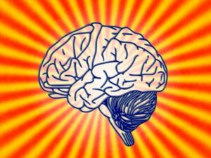 Womit beschäftigt sich die Psychobiologie?