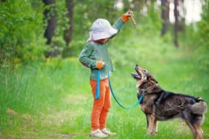 Training mit deinem Hund - Kind trainiert Hund