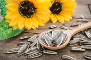Sonnenblumenkerne: 3 Vorteile für deine Haustiere