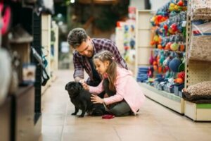 Einen Rassehund kaufen: So schützt du dich vor Betrug