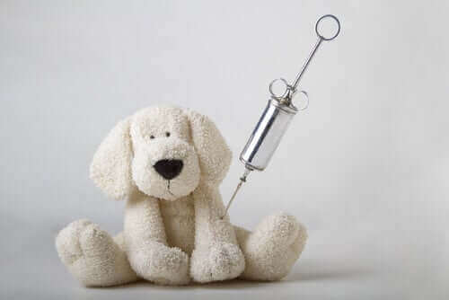 Veterinärimmunologie - Stoffhund mit einer Spritze