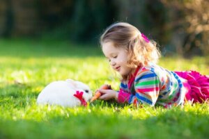 Die Vorteile der Therapie mit Kaninchen