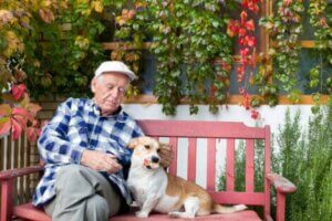Betagte Menschen und Hunde: Hundehilfe für Menschen mit Demenz