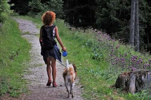 Camping mit Hund: 5 Tipps für den gemeinsamen Urlaub