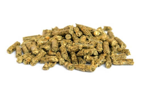 ernährung von Laborratten