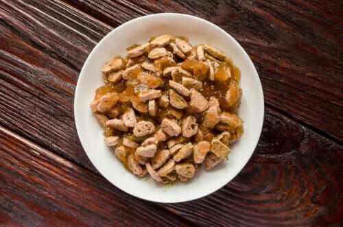 Teller mit Nassfutter für Katzen