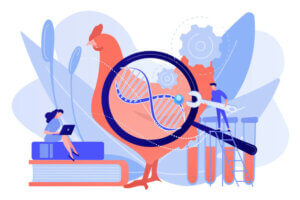 Genetische Selektion bei Haustieren, was ist das?