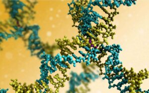 Tiergeneration - DNA
