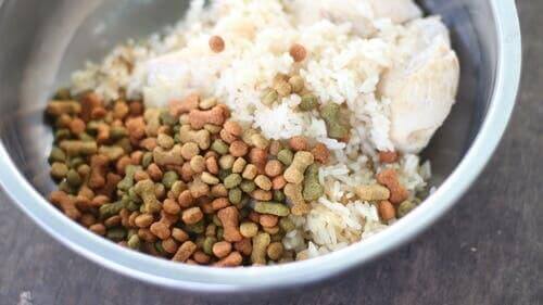 Medikamente und Hausmittel - Hundefutter mit Reis