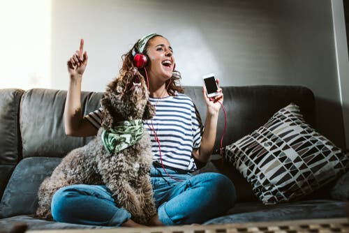 Radio für Hund, Katze und Co.: Sollte ich es anlassen, wenn ich ausgehe?