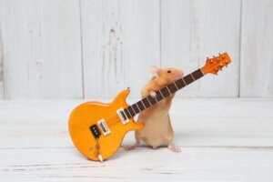 Ob Tiere Musik oder Geräusch mögen, hängt von ihrem Charakter ab