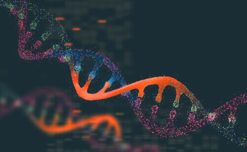 Genetik und Tierpopulationen: Interessante Fakten