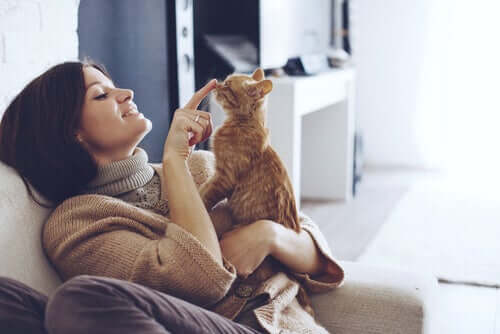Schmusende Katze