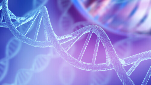 Struktur der DNA
